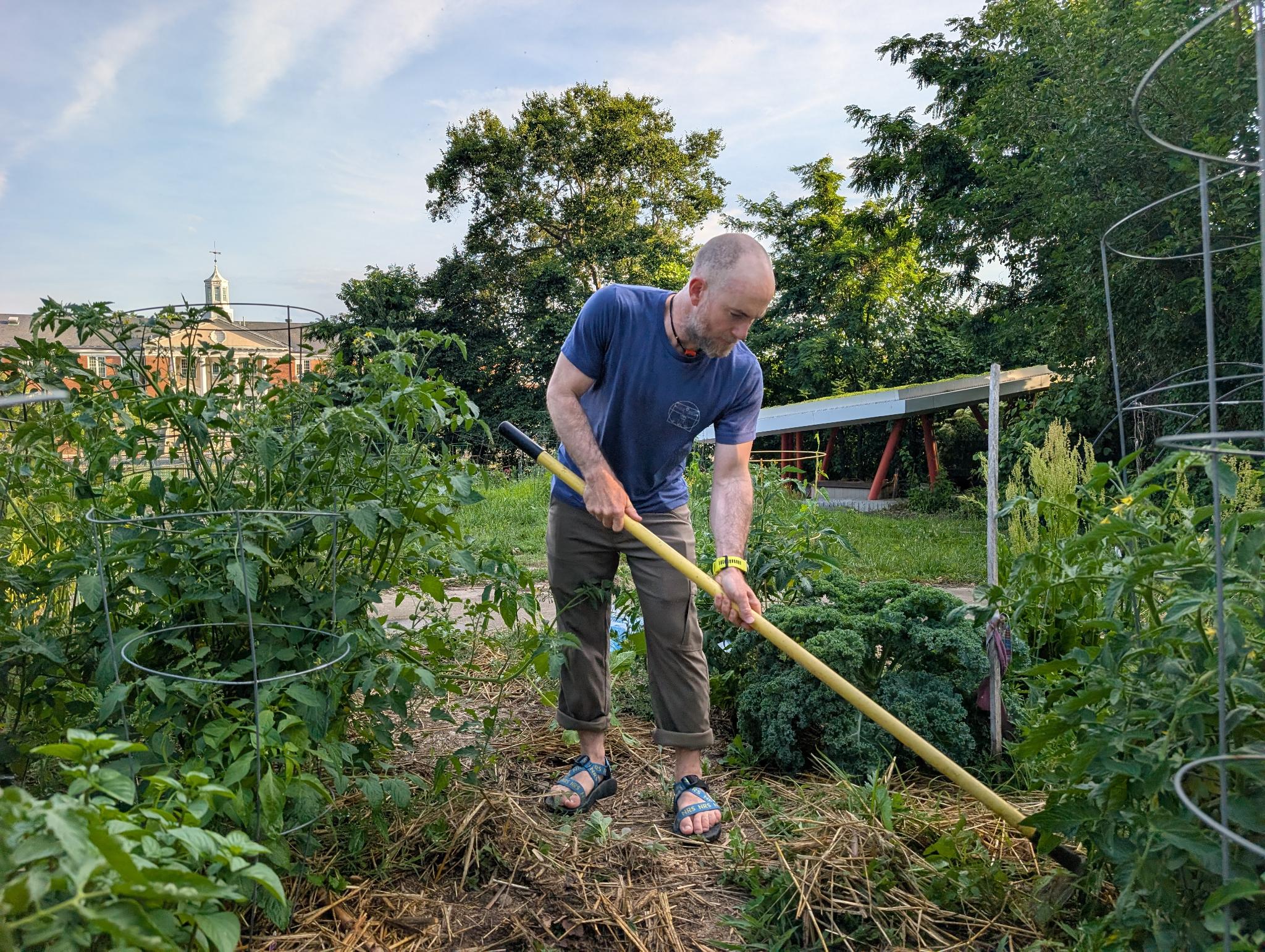David Solana in the garden — a DC resident, Peace Corps veteran, and Independent candidate for Congress